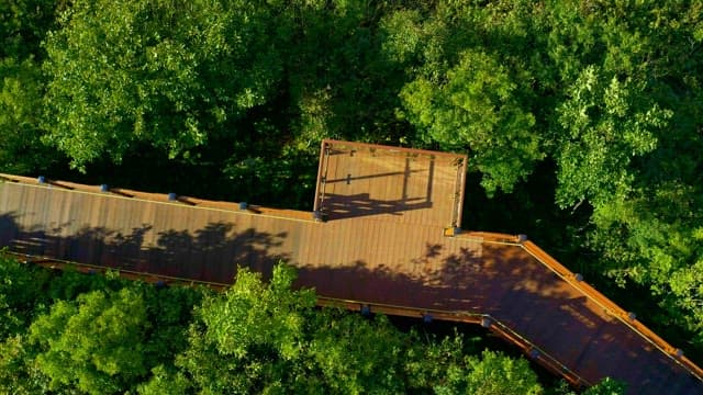 숲을 가로지르는 나무로 된 길