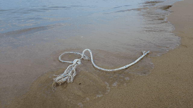 Rope abandoned on sandy beach