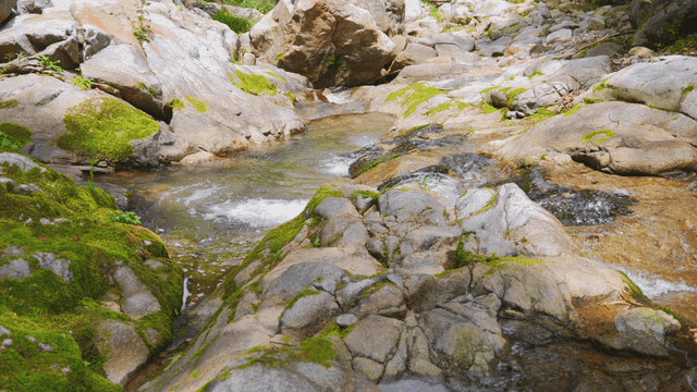 Clear valley water flowing swiftly between rocks