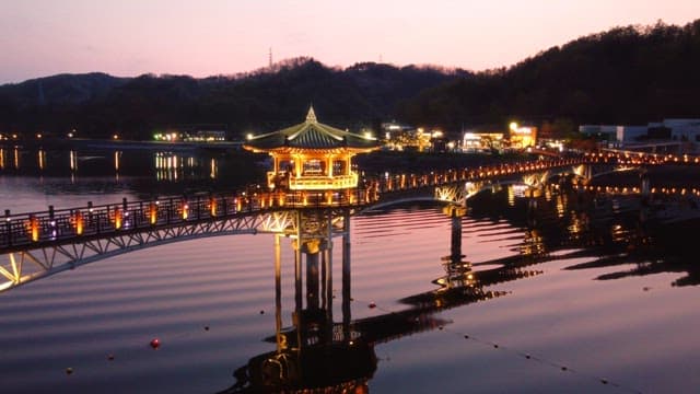 밤에 아름답게 조명된 다리