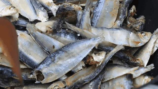 팬에서 볶아지는 밴댕이