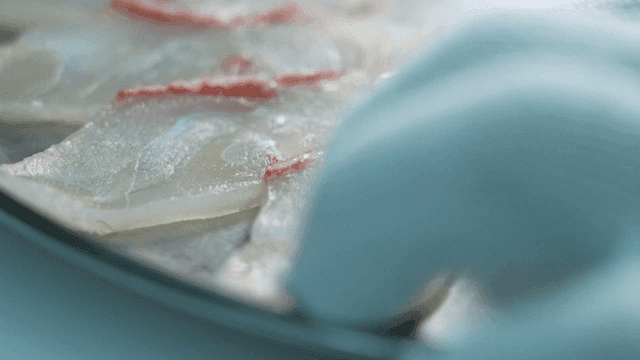 Fresh fish slices on a plate