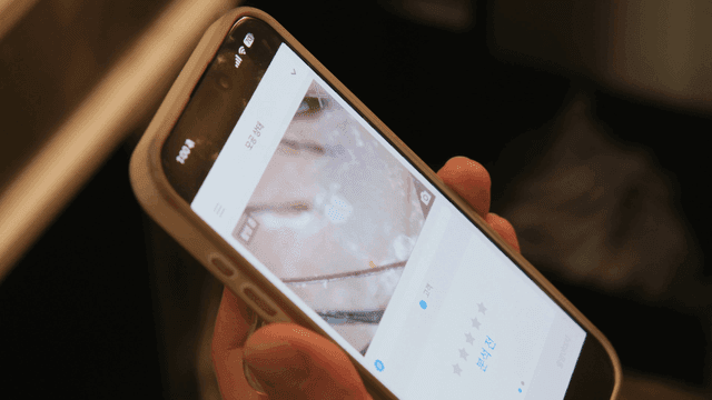 Person doing scalp examination with smartphone