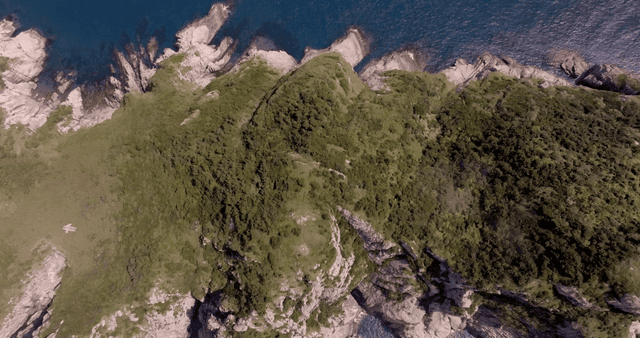 Lush green island surrounded by blue sea