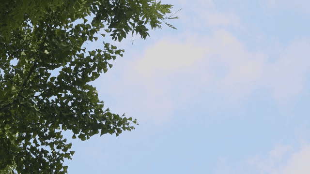 흩어진 구름이 있는 맑은 하늘