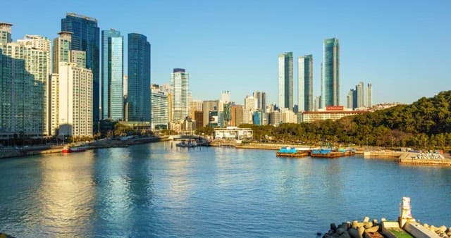 고층 빌딩이 보이는 항구의 아침부터 밤까지의 풍경