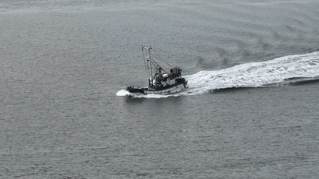 바다를 항해하는 어선