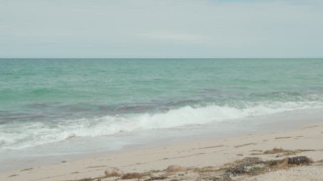 Serene Beach with Gentle Waves Rolling In