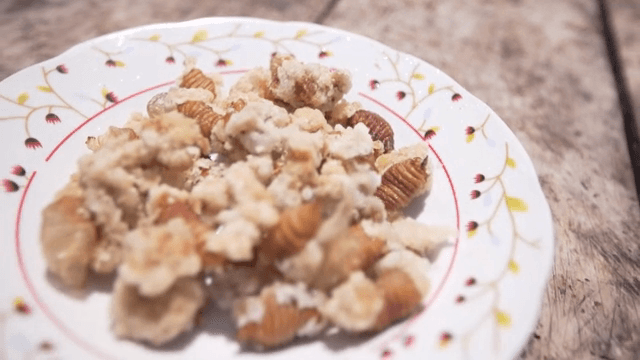 나무 테이블 위에 놓인 애벌레 탕수육