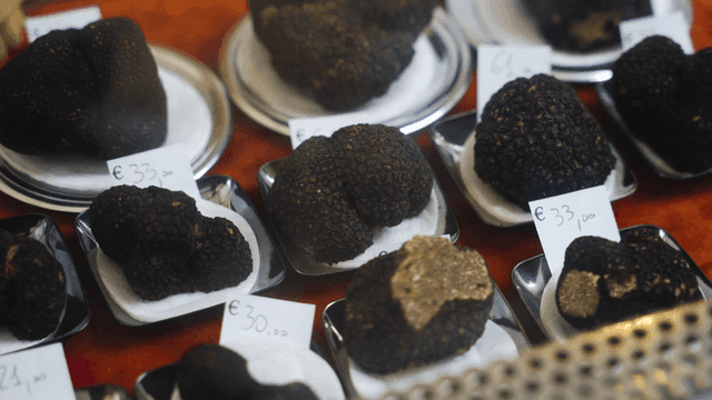 Black truffle display with price tags