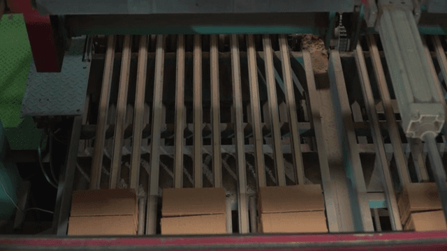 Bricks moving on a conveyor belt