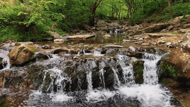 푸른 숲 속의 작은 폭포