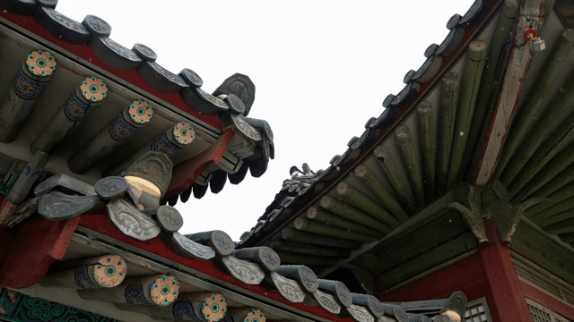 정교한 디테일의 창경궁 기와 지붕