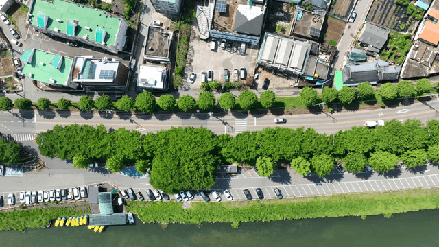 Aerial view of a city with roads and trees