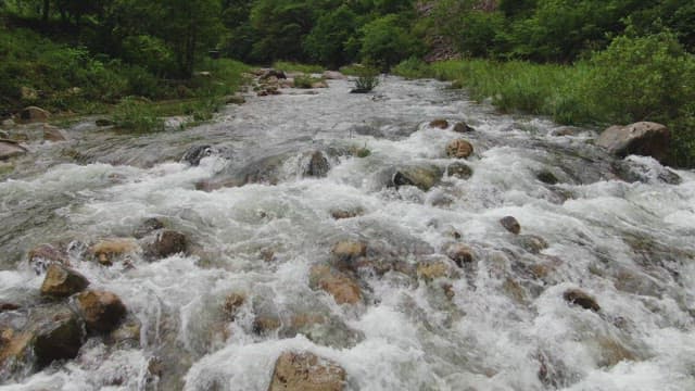 Flowing river with rocks and greenery