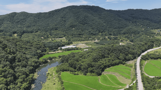 Lush green mountains and river landscape