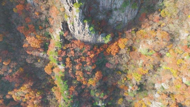 Colorful autumn mountains with rocky cliffs