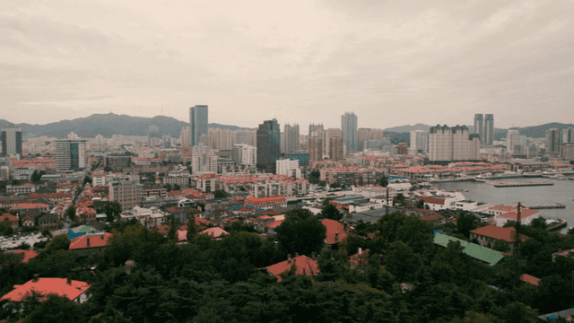 Cityscape with forest, sea, and high-rise buildings