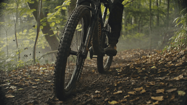 Mountain biking through a forest trail
