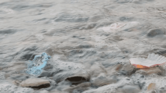 해변의 자갈과 조개껍데기