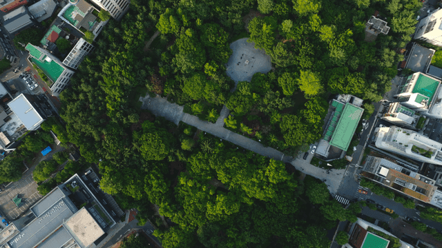 건물로 둘러싸인 도시 공원의 항공 뷰