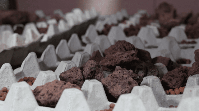 여러 돌들이 담긴 계란판