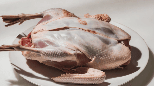 Raw duck placed on a white plate