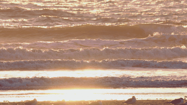 Waves crashing on a sunny beach