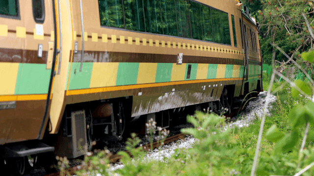 Train passing through green meadow.