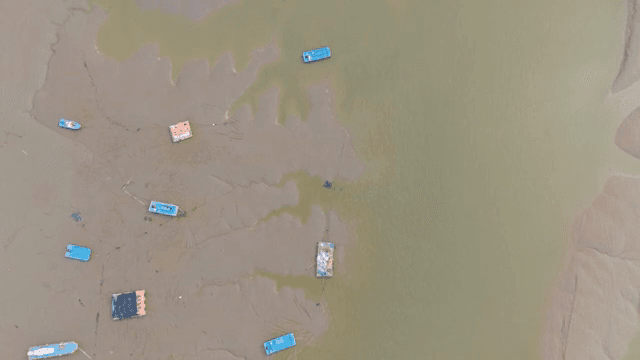 진흙 해안에 흩어진 보트들