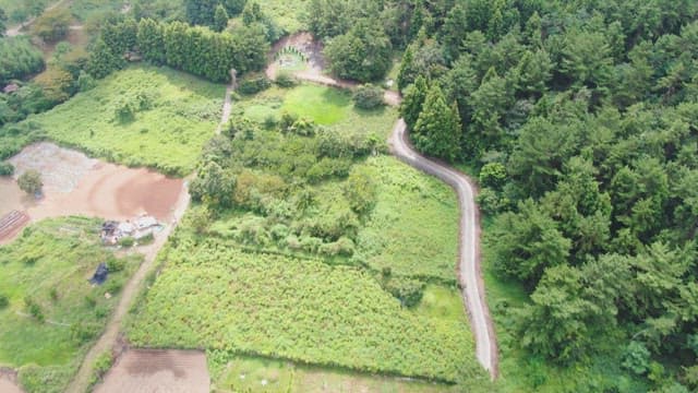 Lush green landscape with winding road