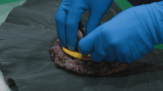 Hands piling grains onto lotus leaf rice