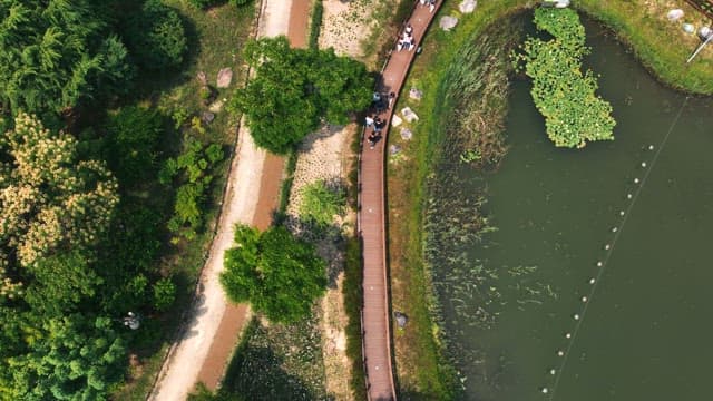 People walking on a wooden boardwalk in scenic park
