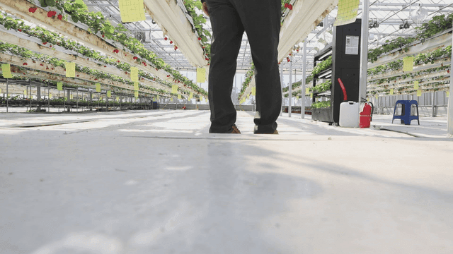 온실에서 걷는 농부