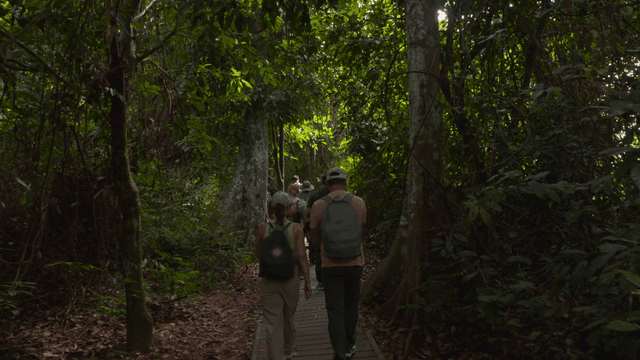 무성한 숲길을 걷는 사람들