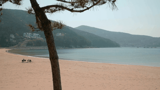 Quiet beach with family resting