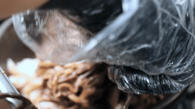 뚝배기 안에 고사리를 추가하는 장면