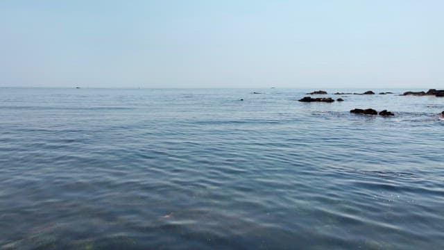 부표와 함께 바다에 있는 잠수부