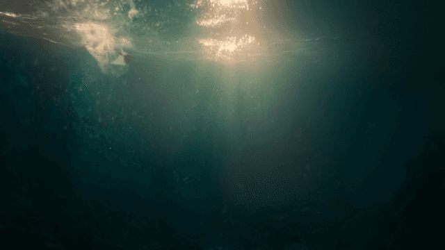 햇빛이 비치는 물속에 빠진 사람