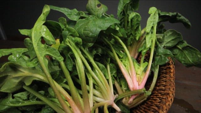 바구니에 담긴 신선한 시금치와 베이컨 시금치 볶음