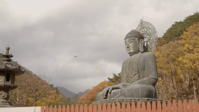 고요한 산속의 큰 불상
