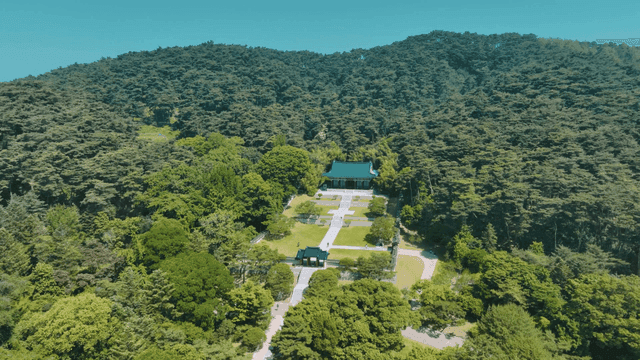 Traditional Hanok surrounded by lush forest