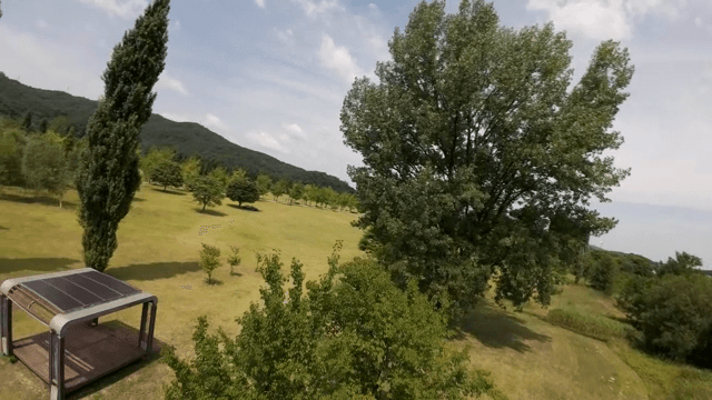 푸른 나무가 우거진 넓은 공원