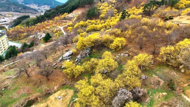 Scenic rural landscape surrounded by fields and trees