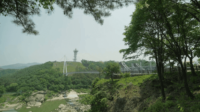 Scenery of forest visible along with bridge