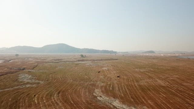 맑은 하늘 아래 드넓게 펼쳐진 황량한 들판