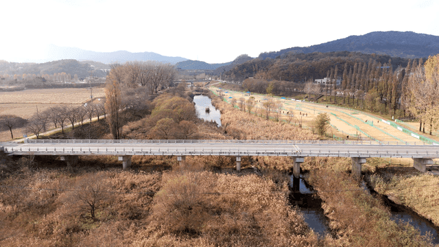 Quiet river flowing through park