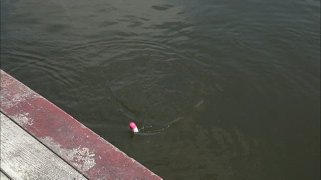 Fishing by the lakeside with a catch