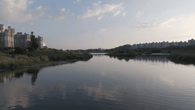 River flowing through a cityscape
