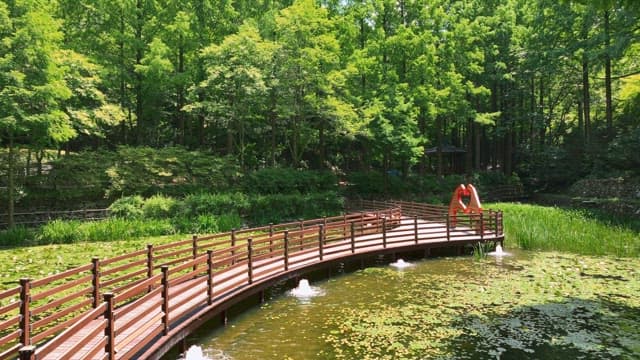 푸른 숲 속의 나무 산책로